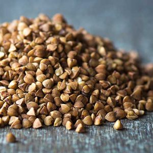 Buckwheat