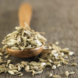 Seed