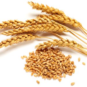 wheat 2